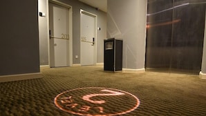 A hotel hallway with carpeted floors, doors numbered 203 and 205, and a small black object on the right.