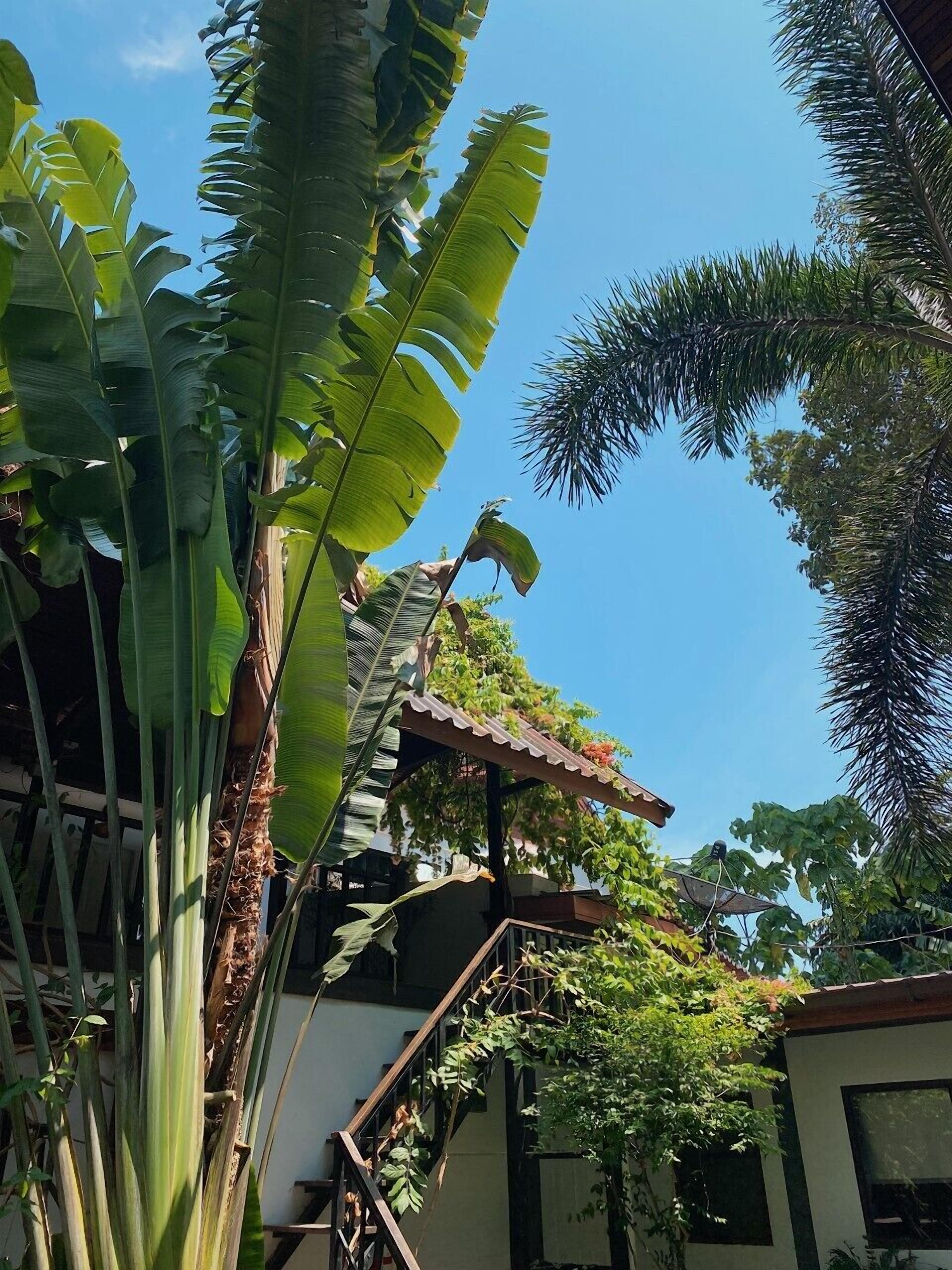 Photo - The Reef Hotel & Studios