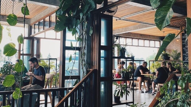 Un espacio interior con vigas de madera, ventanas amplias y abundante vegetación.