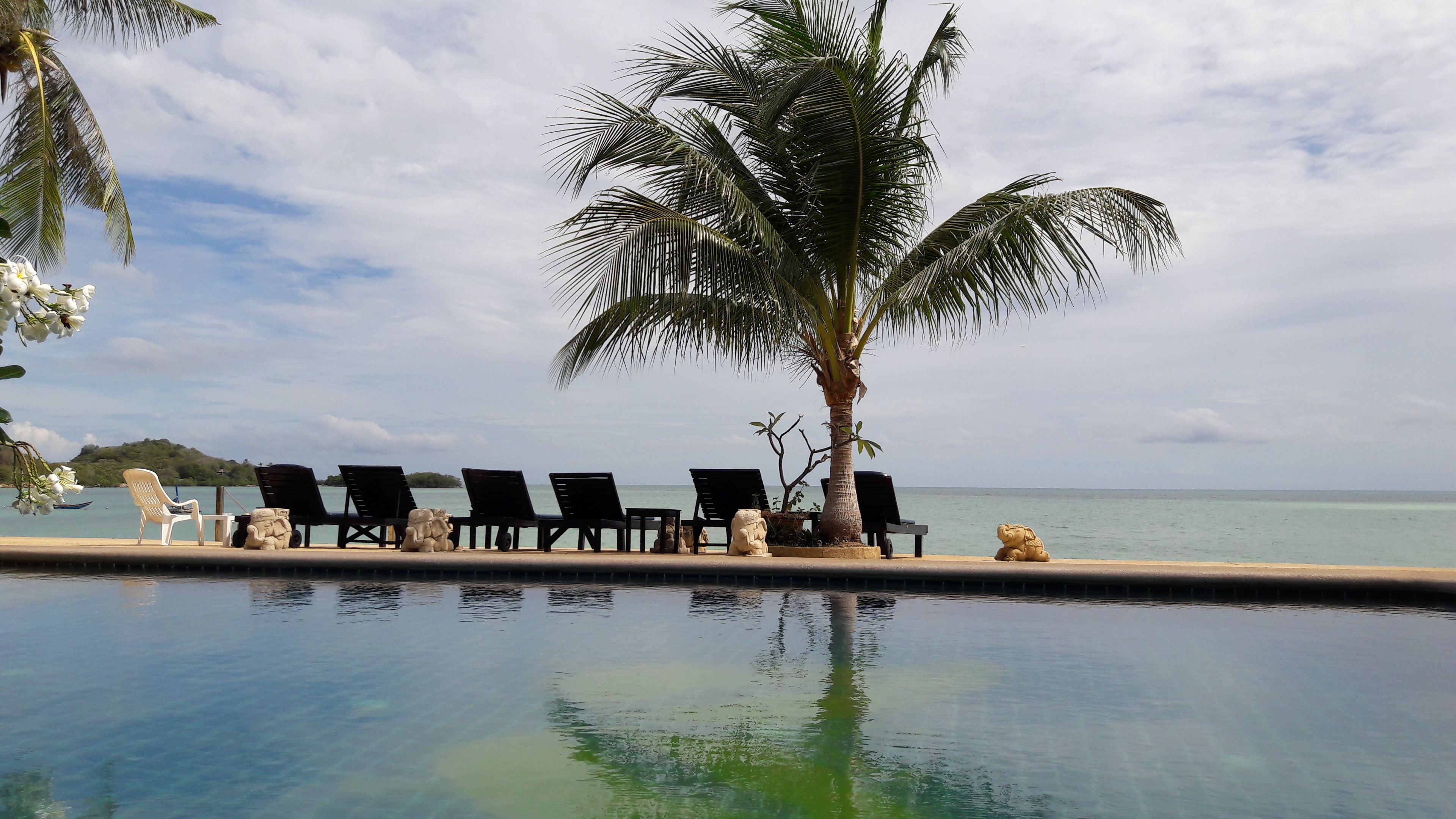 Photo - Papillon Resort