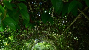 A garden pathway with a mosaic design, surrounded by lush greenery and potted plants. - Lanvin Hotel (Kota Kinabalu)
