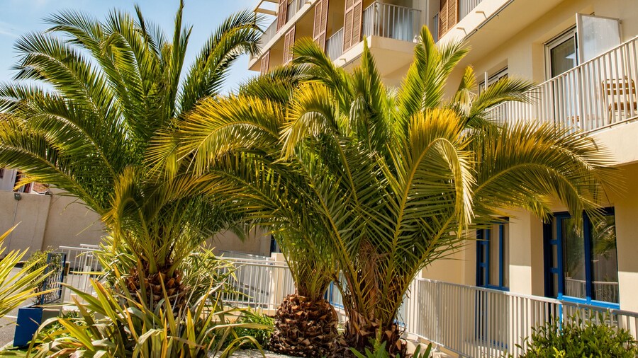 Best Western Arcachon Le Port