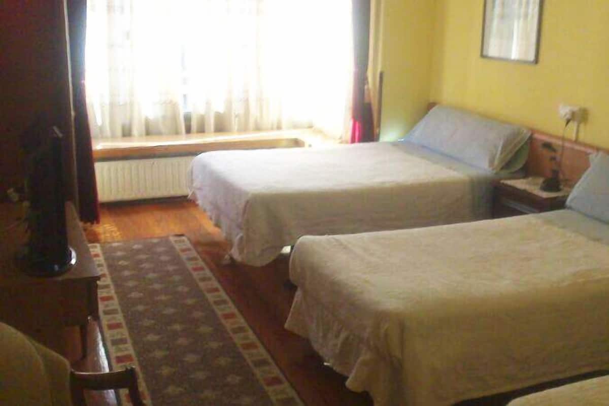 Camera con letto matrimoniale o 2 letti singoli | Una scrivania, tende oscuranti, insonorizzazione, Wi-Fi gratuito
