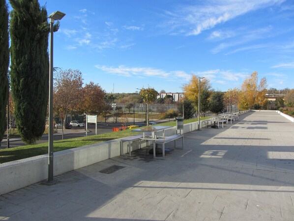 Un espacio al aire libre con bancos, un camino pavimentado y árboles con follaje otoñal.