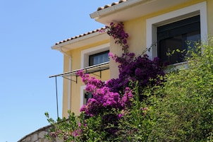 Fachada de la propiedad