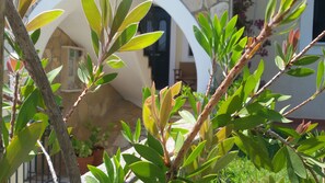 สตูดิโอ, วิวสวน, ชั้นล่าง | วิวจากห้องพัก