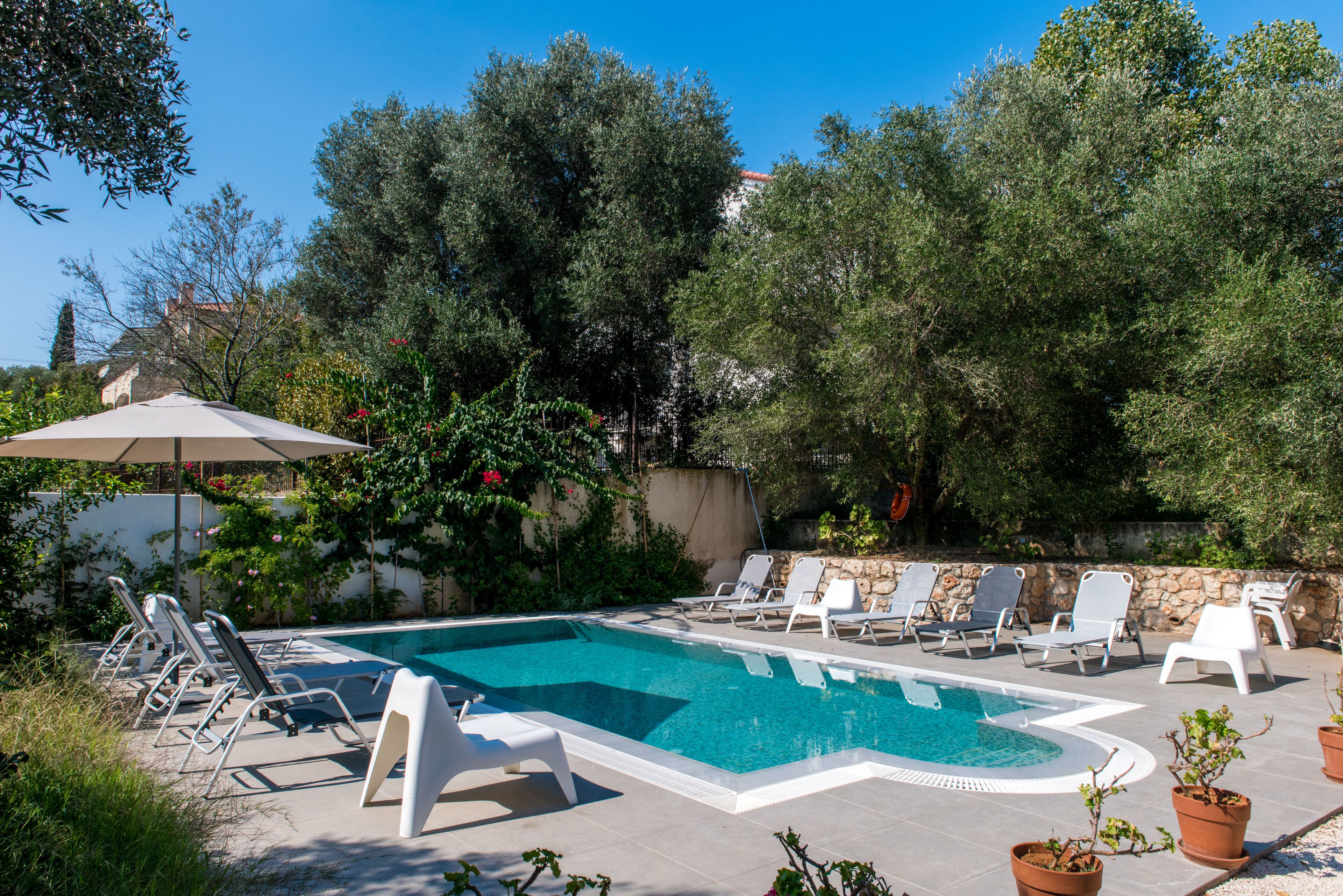 Ein Pool mit Liegestühlen und Topfpflanzen.