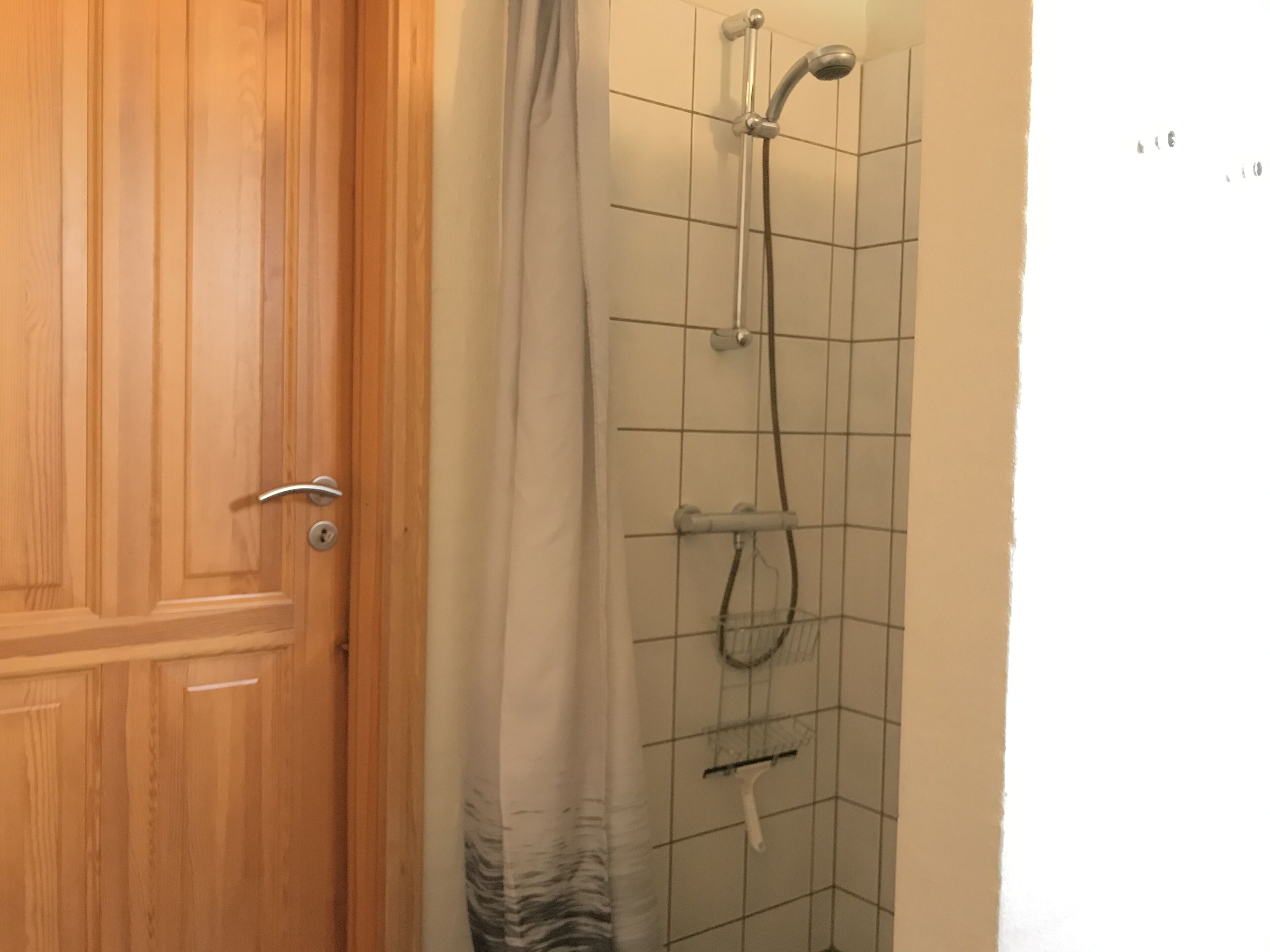A wooden door with a silver handle, a shower with a handheld showerhead and a handheld scrubber, and a tiled wall.