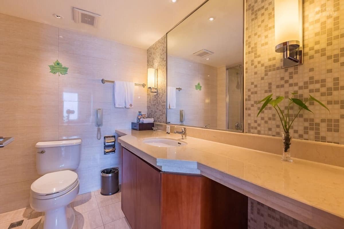 A modern bathroom with a toilet, sink, and mirror.