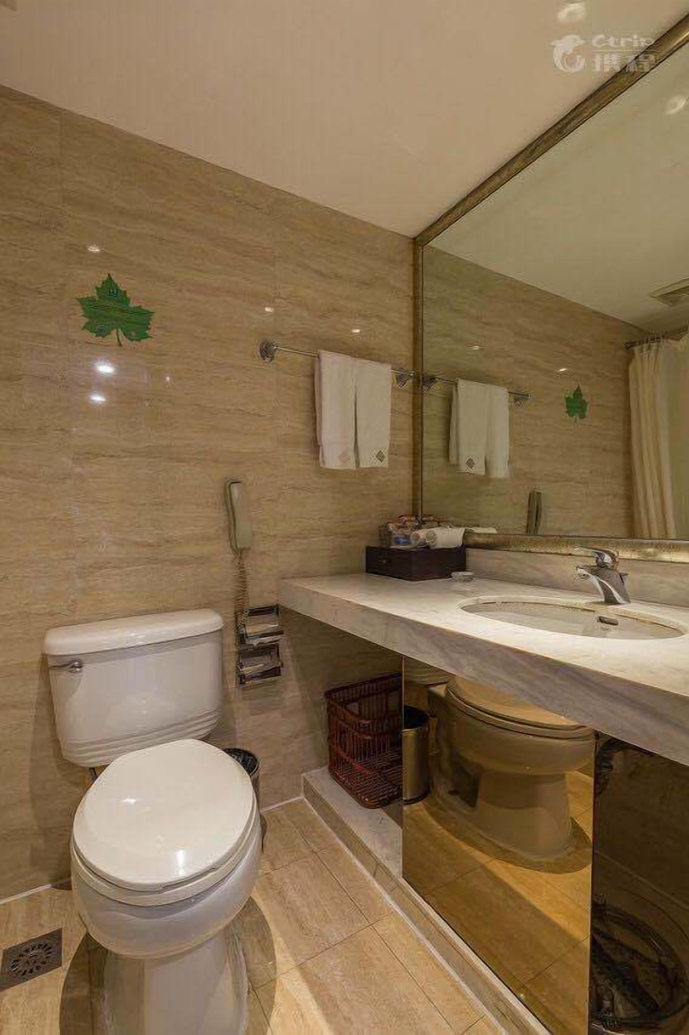 Een badkamer met toilet, wastafel en spiegel.