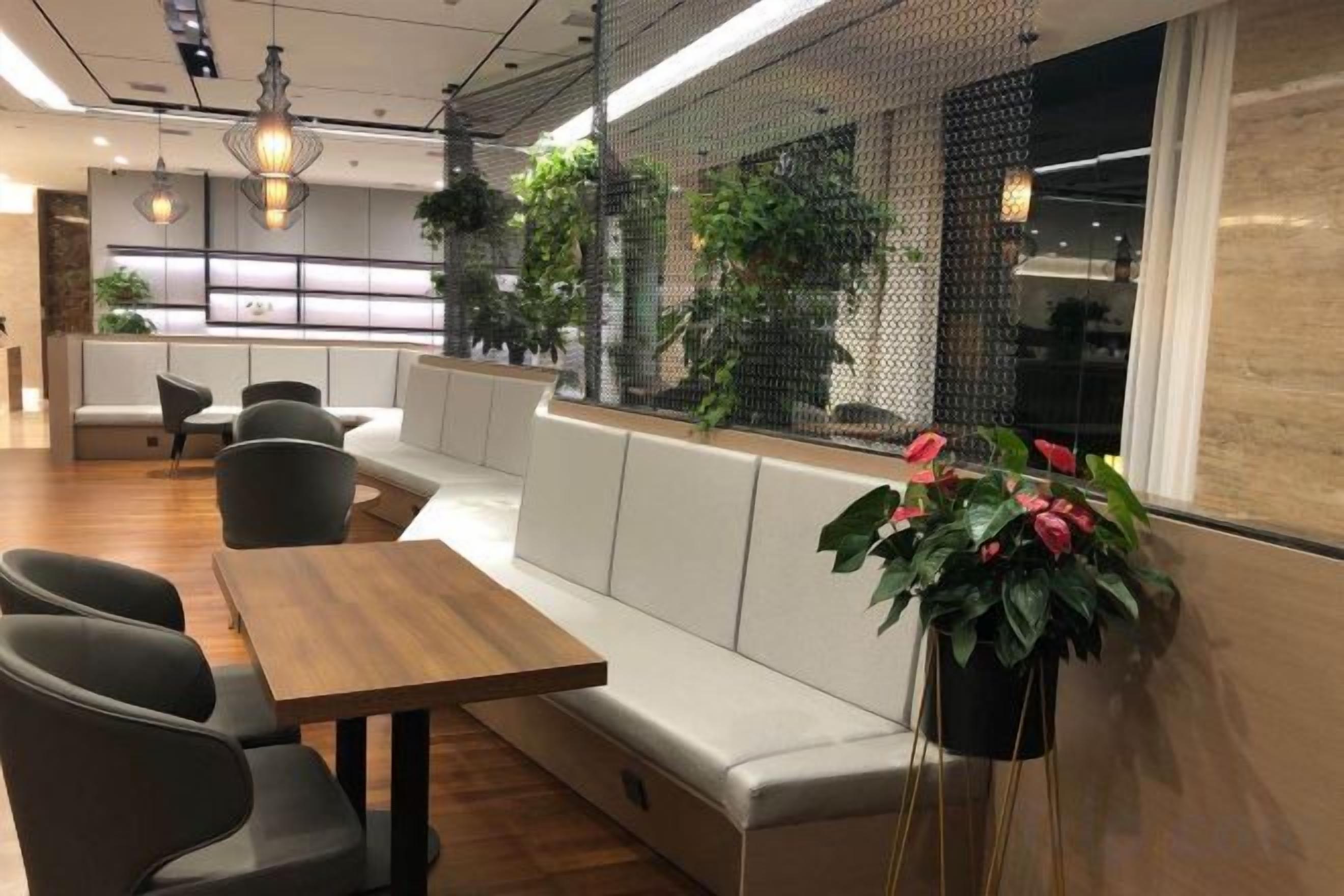 A modern interior with seating arrangements, a wooden table, and potted plants.