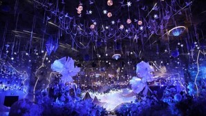 Indoor wedding - Elegance Hotel (Suqian)