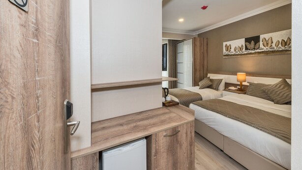 A hotel room with a wooden desk, two beds, a nightstand with a lamp, and a wall-mounted artwork. - Alphonse Hotel (Istanbul)