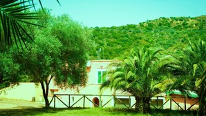 A building with a white exterior and green shutters, surrounded by lush greenery and palm trees. - Agriturismo Menhir (Villagrande Strisaili)
