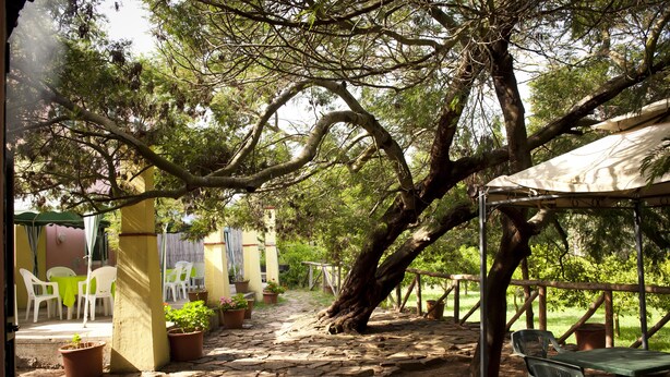 A stone-paved patio with outdoor seating, surrounded by trees and a covered area. - Agriturismo Menhir (Villagrande Strisaili)