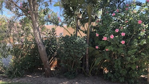 Unclassified image, 3 of 40, button - One One Guesthouse (Cape Town)