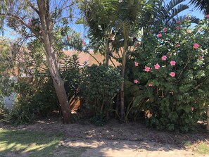 Property grounds - One One Guesthouse (Cape Town)