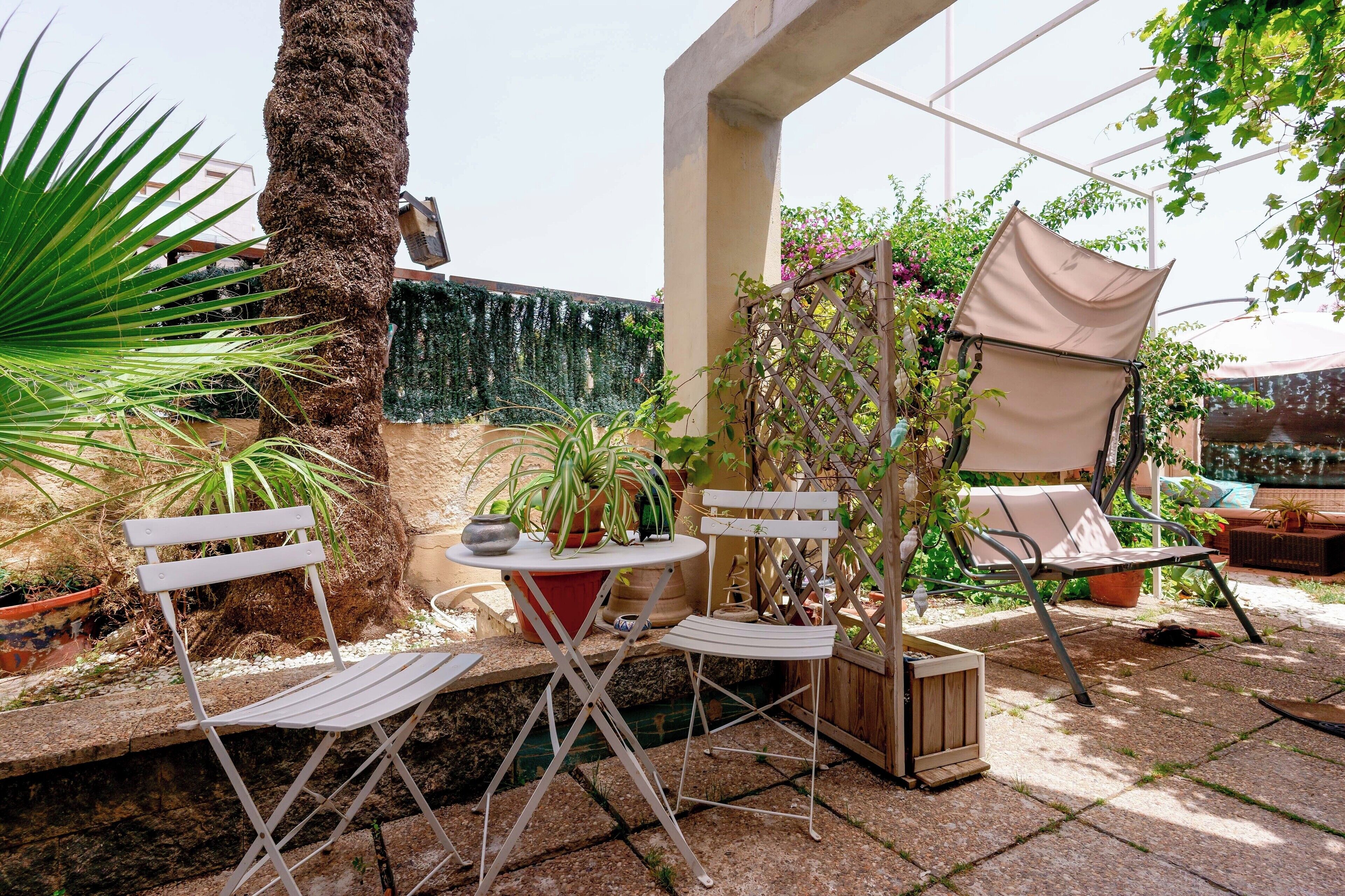 Un área de patio al aire libre con una mesa y sillas, rodeada de plantas en macetas y una palmera.