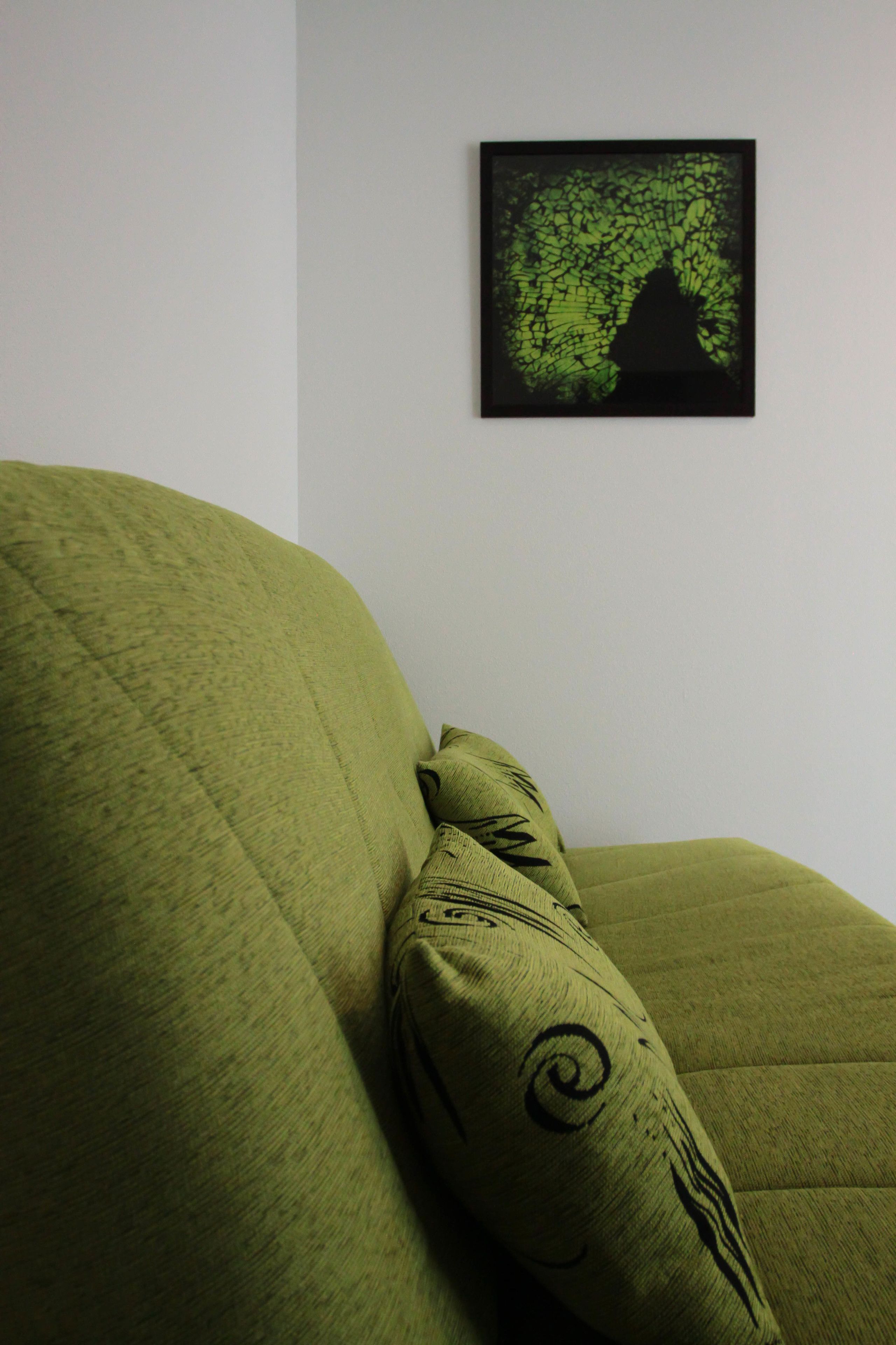 Un sofá verde con un cojín estampado frente a una pared blanca, con una obra enmarcada encima.