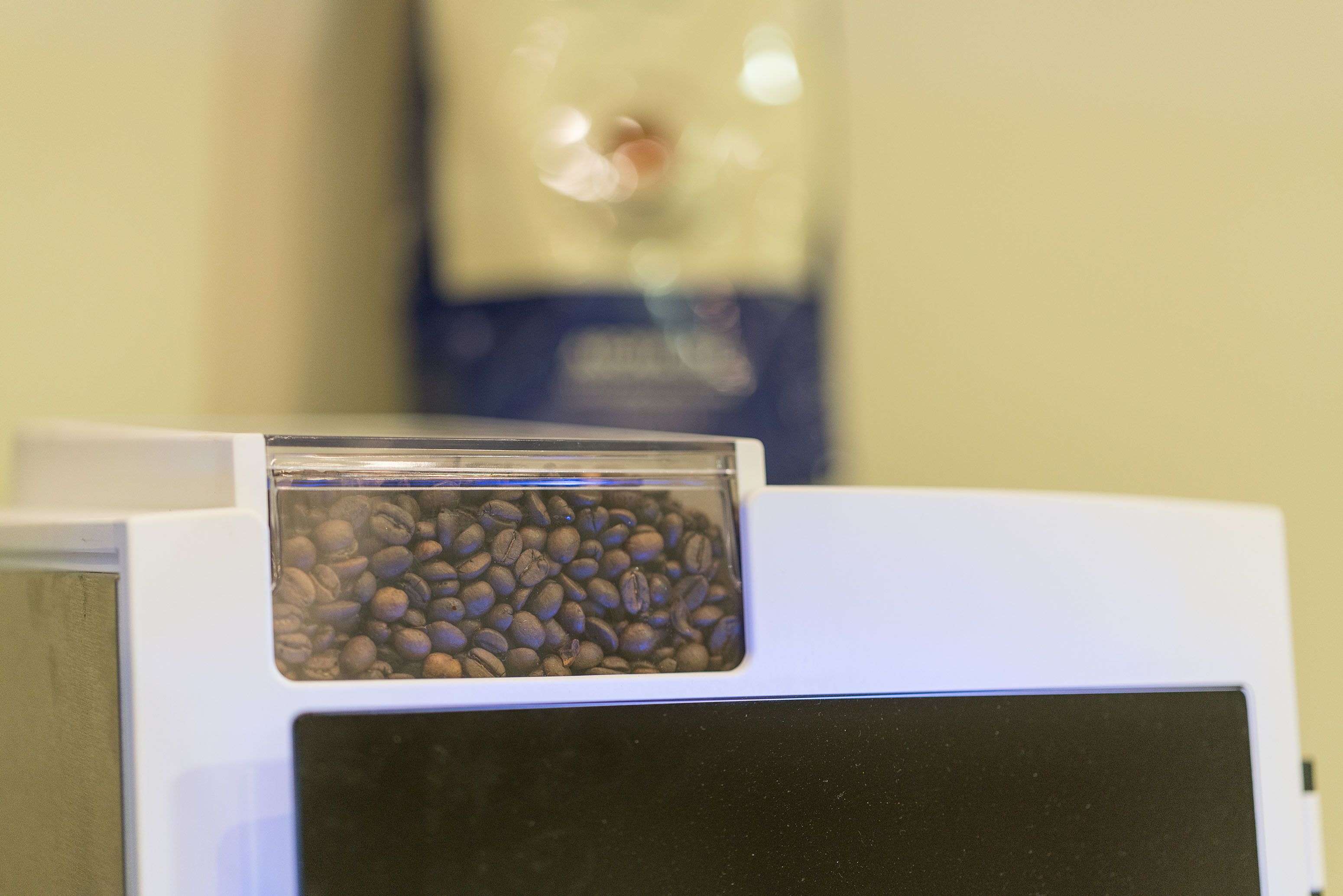 Photo - Summer Dream