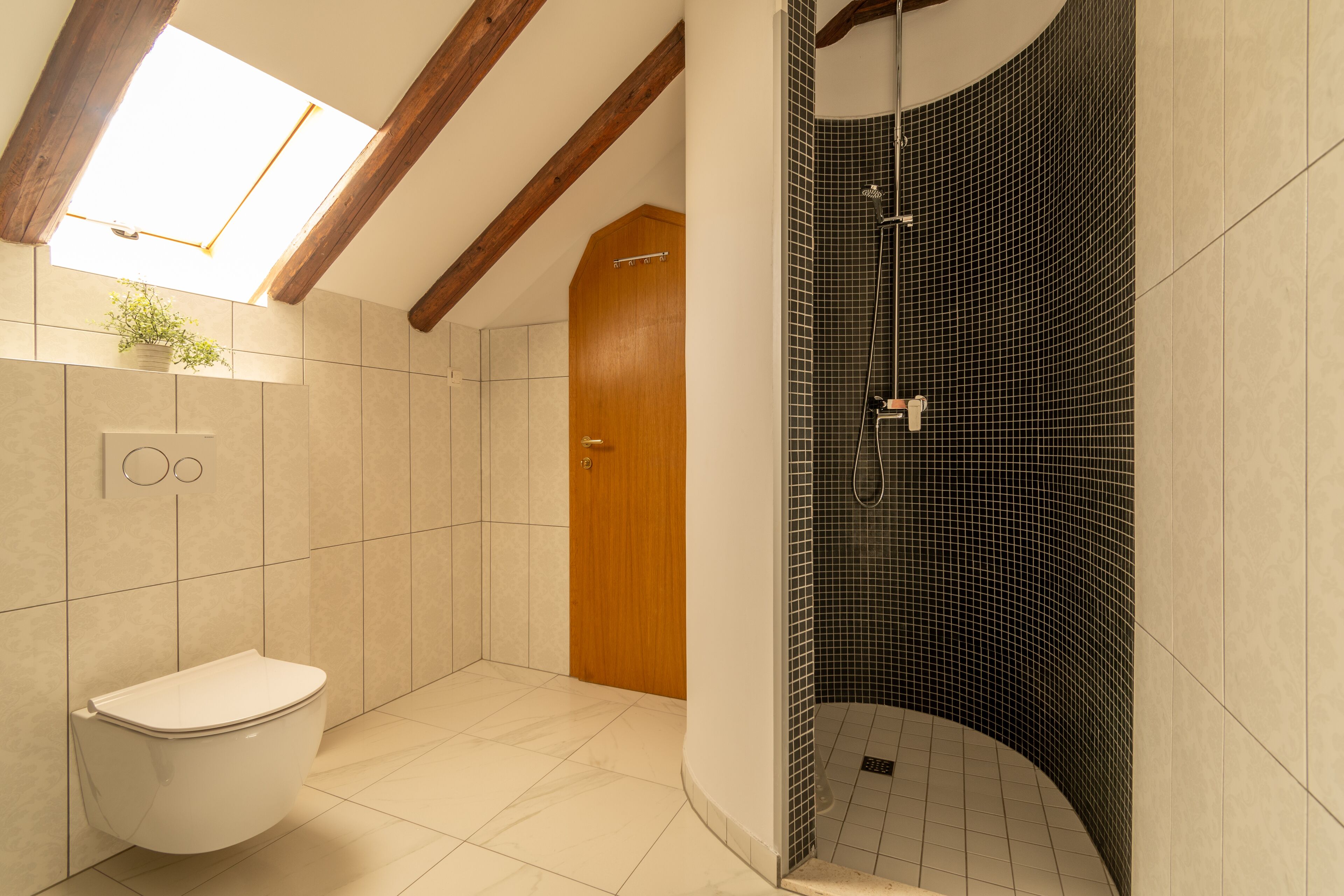A bathroom with a skylight, a toilet, a shower with black mosaic tiles, and a wooden door.