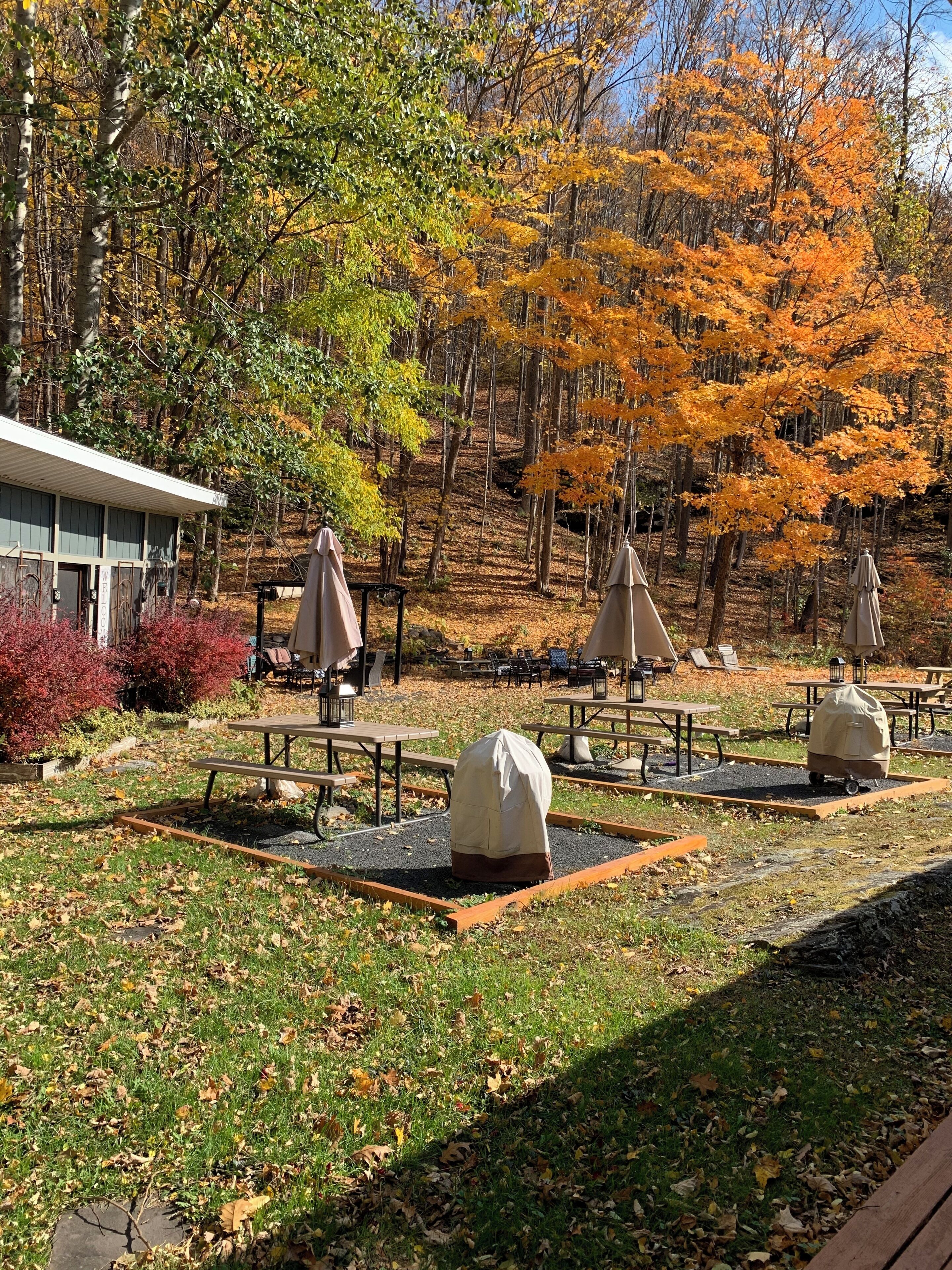 An outdoor seating area with picnic tables and umbrellas, surrounded by trees with autumn foliage.