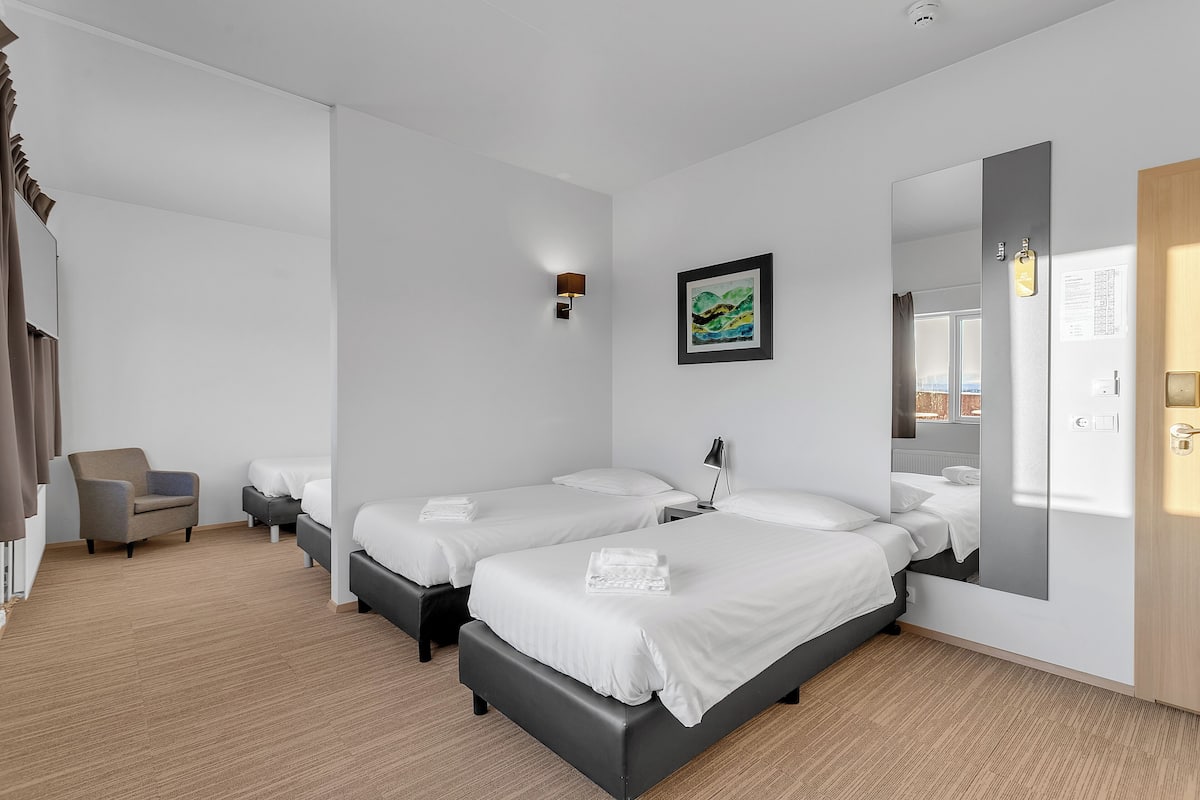 Vierpersoonskamer (with Hot Tub and Sauna Access) | Hypoallergeen beddengoed, een bureau, verduisterende gordijnen