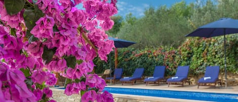 Áreas de la propiedad