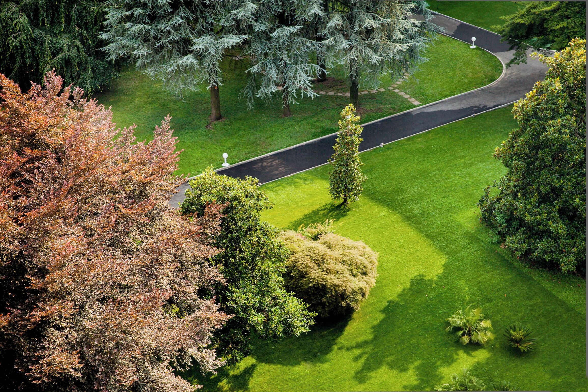 Foto - Hotel Da Vinci