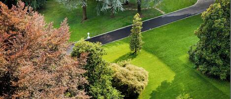 Um jardim paisagístico com um caminho serpenteante, sebes bem aparadas e árvores já adultas.