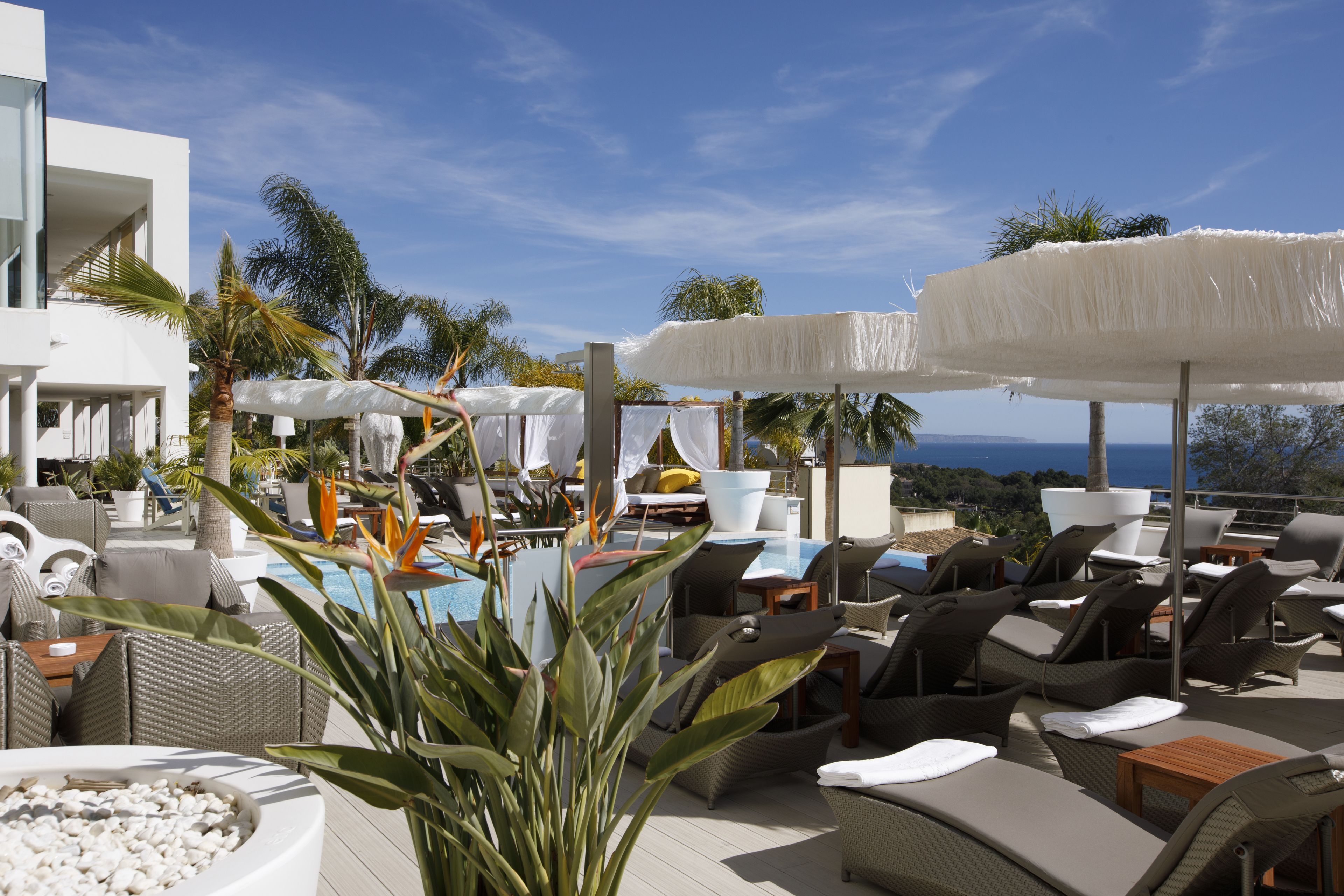 A rooftop pool area with lounge chairs, umbrellas, and a view of the ocean.