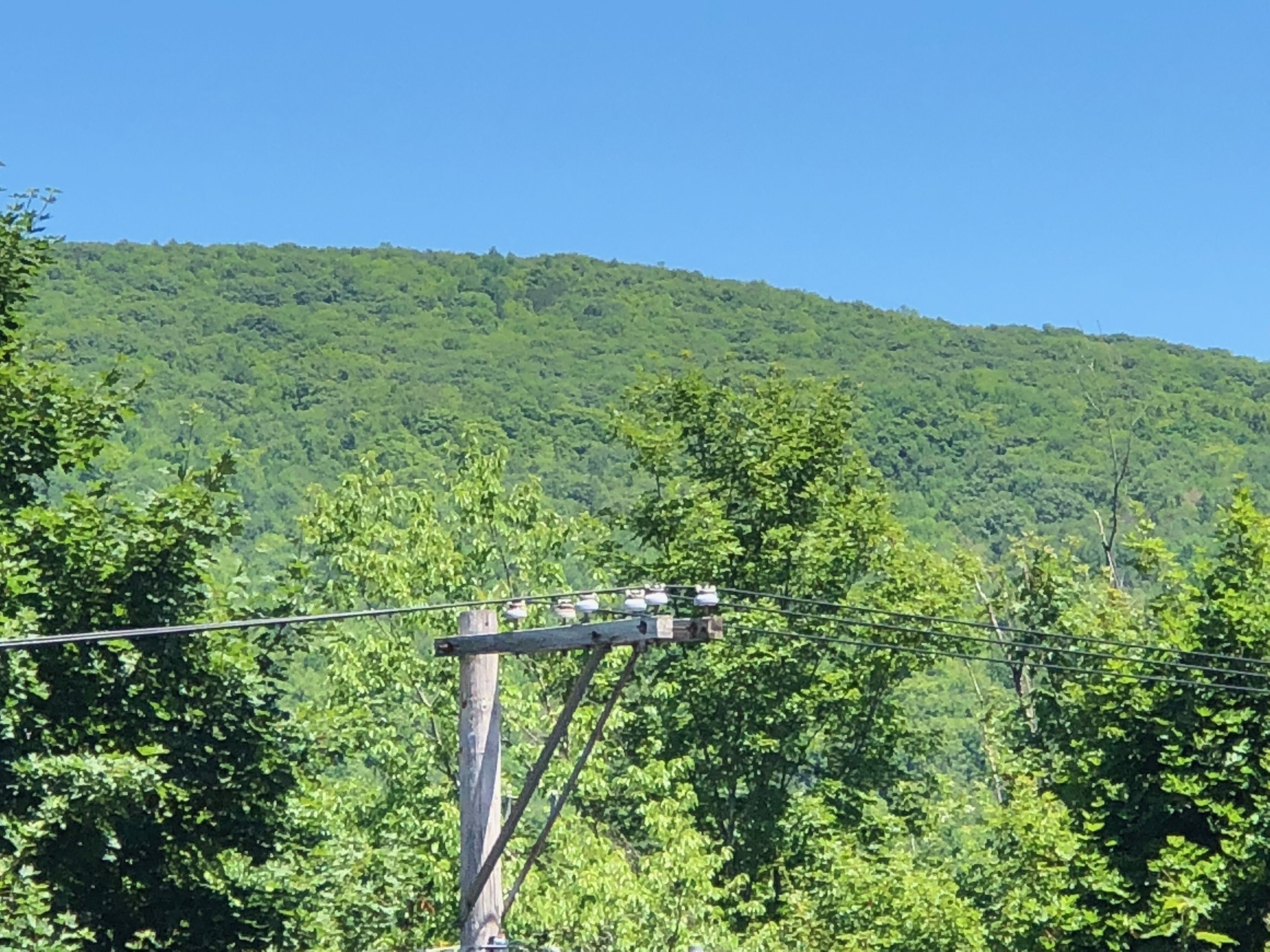 A power line structure amidst lush green trees and a hill in the background.
