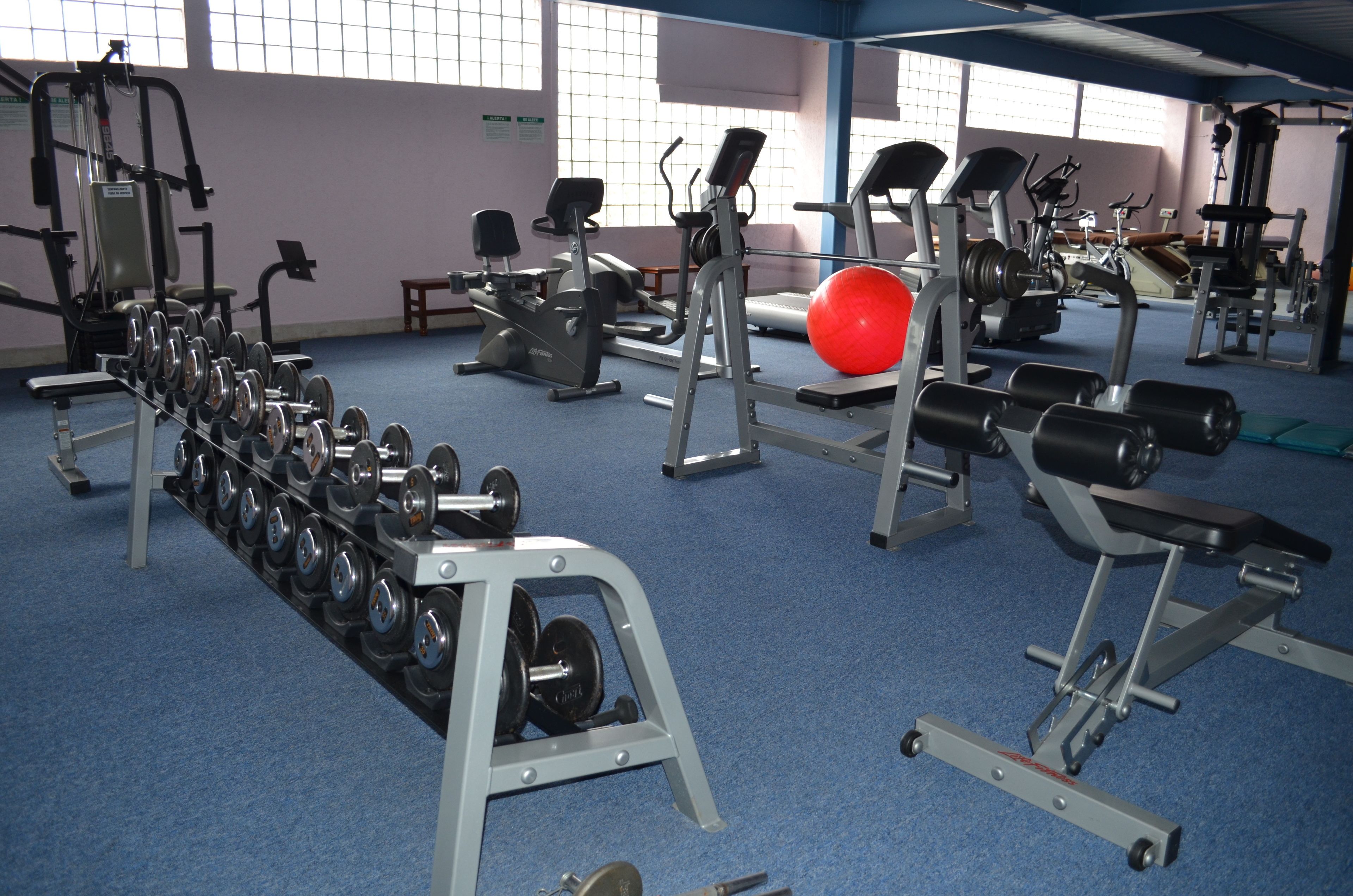 Un gimnasio con diversos equipos de ejercicio, incluyendo cintas de correr, máquinas de pesas y una pelota de ejercicios roja.
