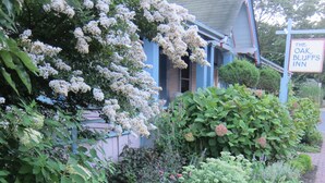 A garden with various plants and flowers, a blue building with a sign for The Oak Bluffs Inn. - The Oak Bluffs Inn (Oak Bluffs)