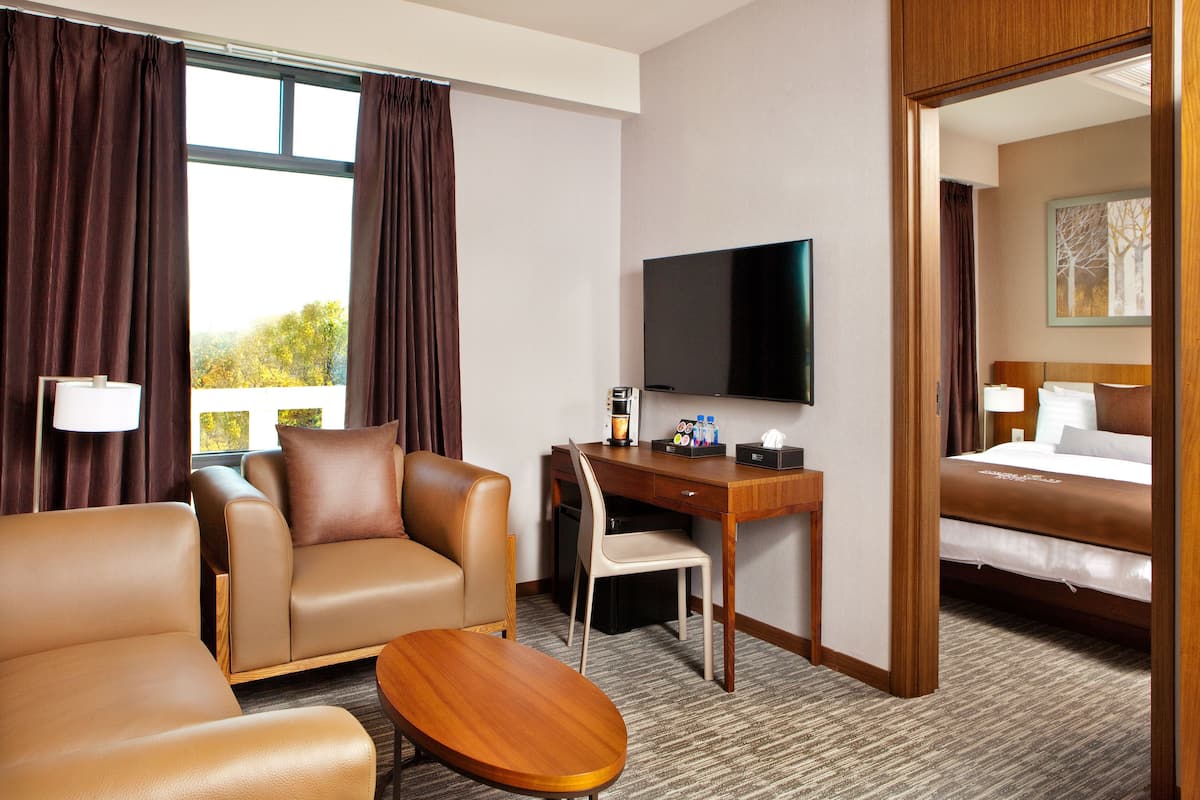 Habitación de hotel con sofá, escritorio, televisión y cama.