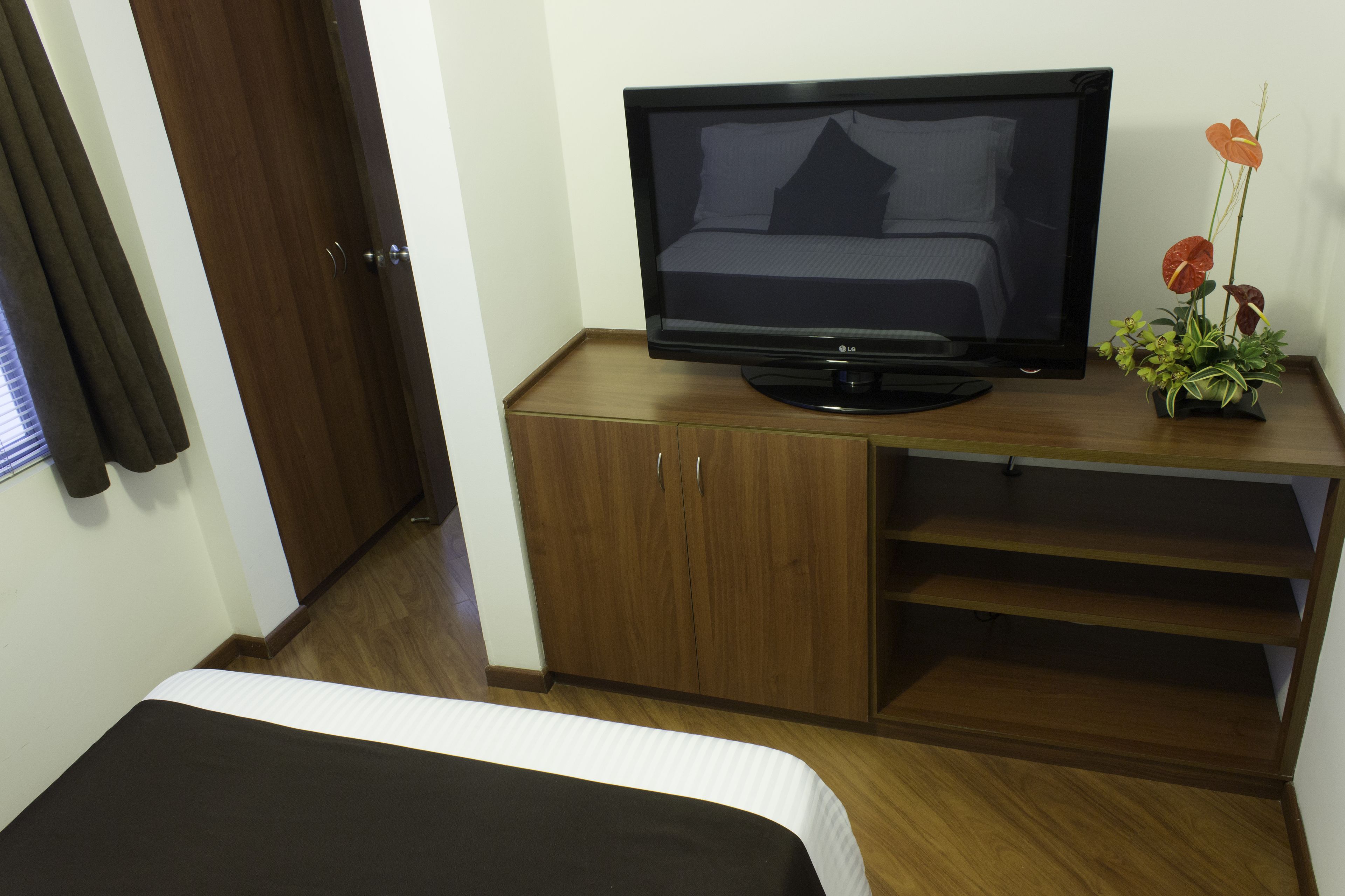 A hotel room with a bed, a TV on a wooden cabinet, and a potted plant.