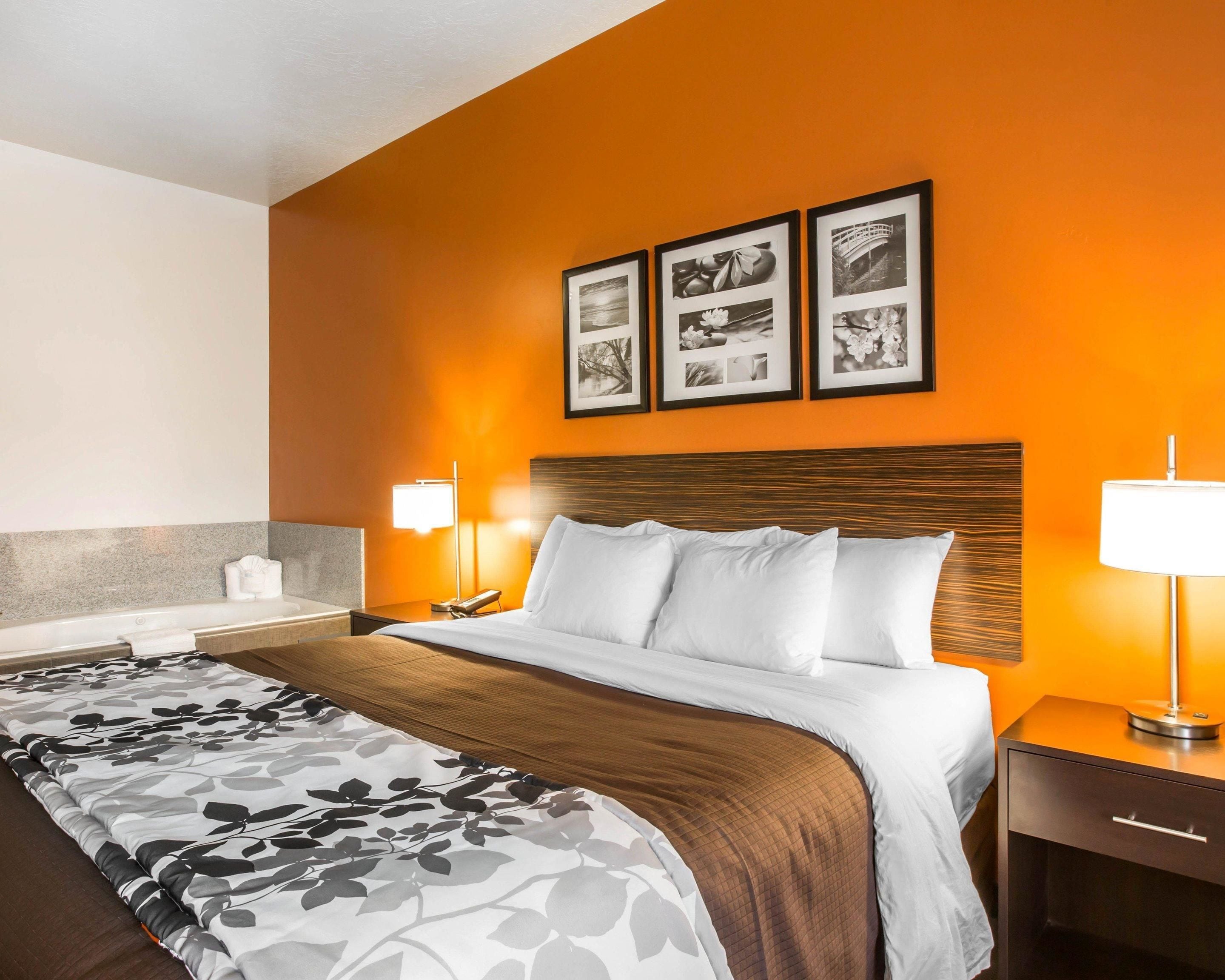 A hotel room with a large bed, a nightstand with a lamp, a wall-mounted picture, and a bathroom area.