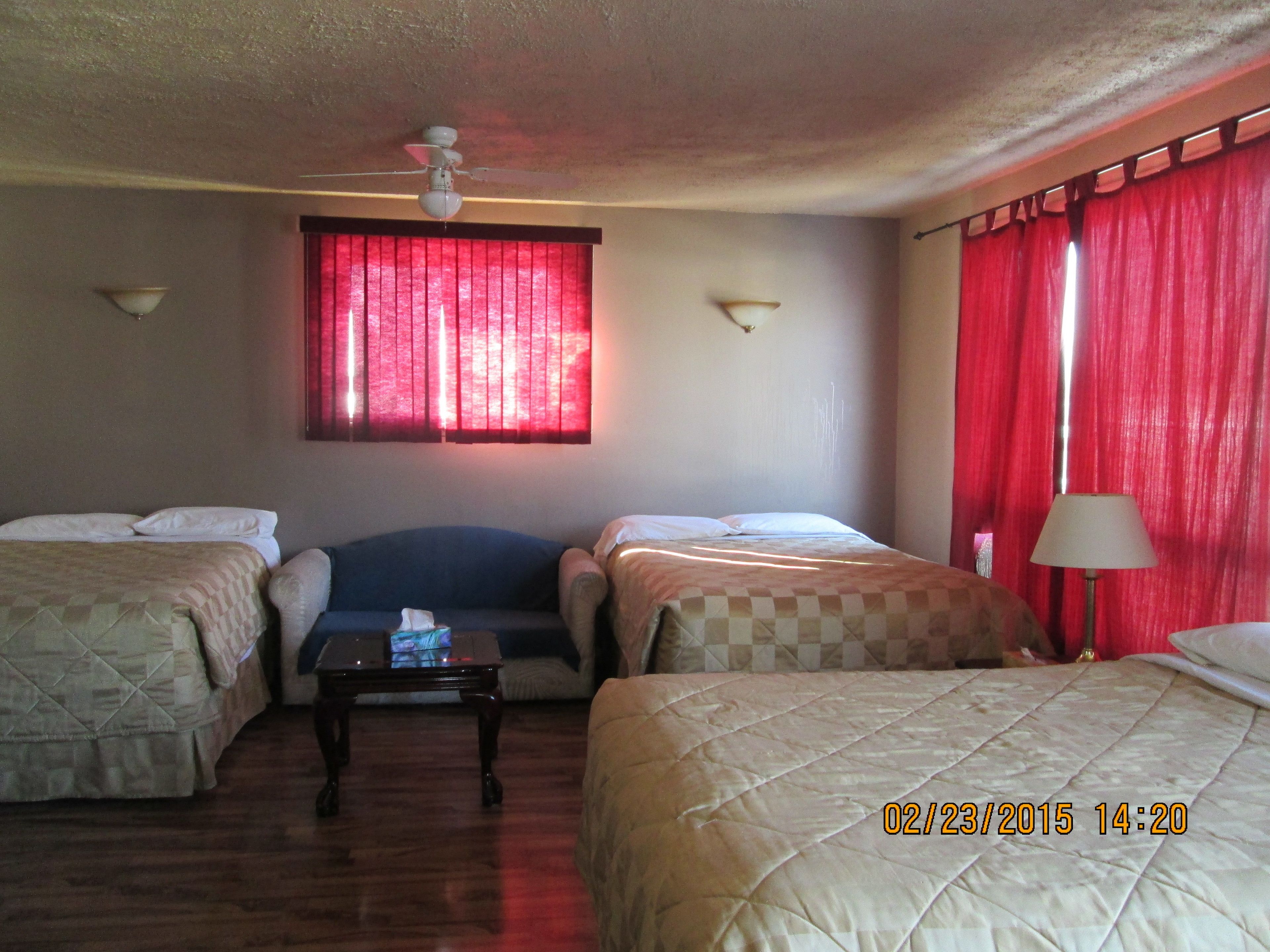 Photo - Motel Lustre D'or