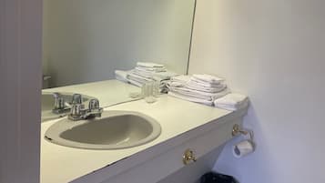 Chambre familiale | Salle de bain | Douche, séchoir à cheveux, serviettes fournies