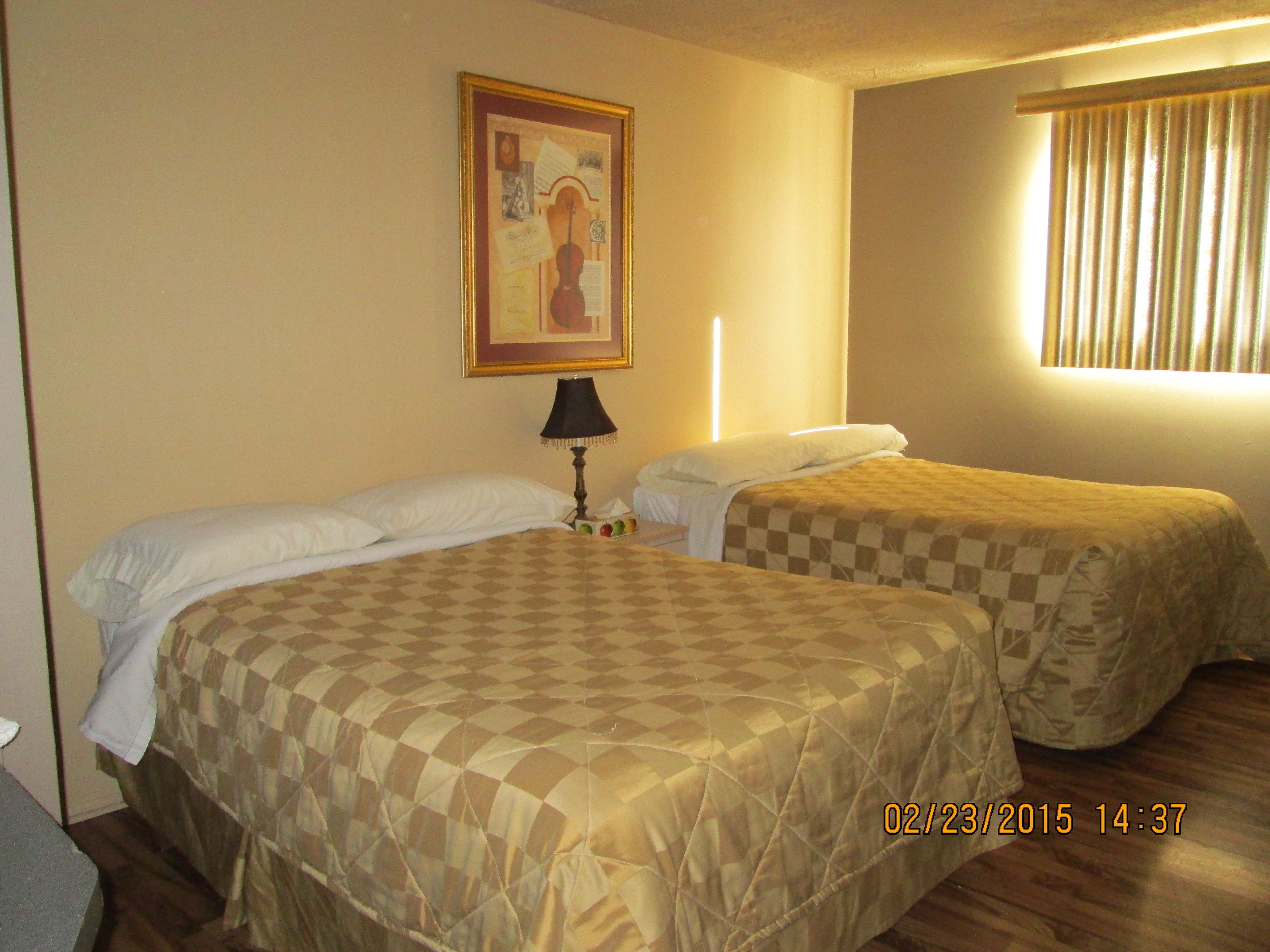 Photo - Motel Lustre D'or