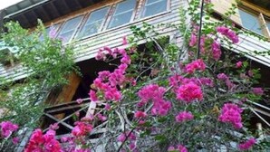 Um edifício com fachada de madeira, várias janelas e uma varanda com plantas floridas em tons de rosa.