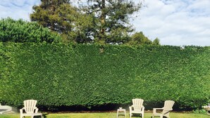 A well-maintained hedge, three white plastic chairs, and a small table on a grassy area. - Harbor Inn (Santa Cruz)