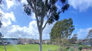 Un campo cubierto de hierba con un árbol y un pequeño arroyo.