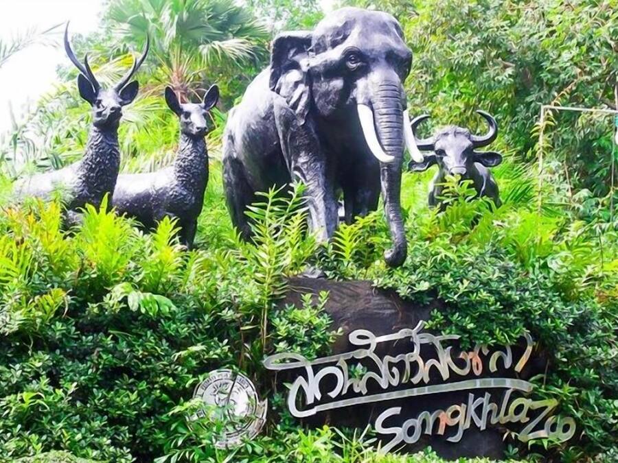 A garden with sculptures of animals and a sign that reads "Chintan Park".