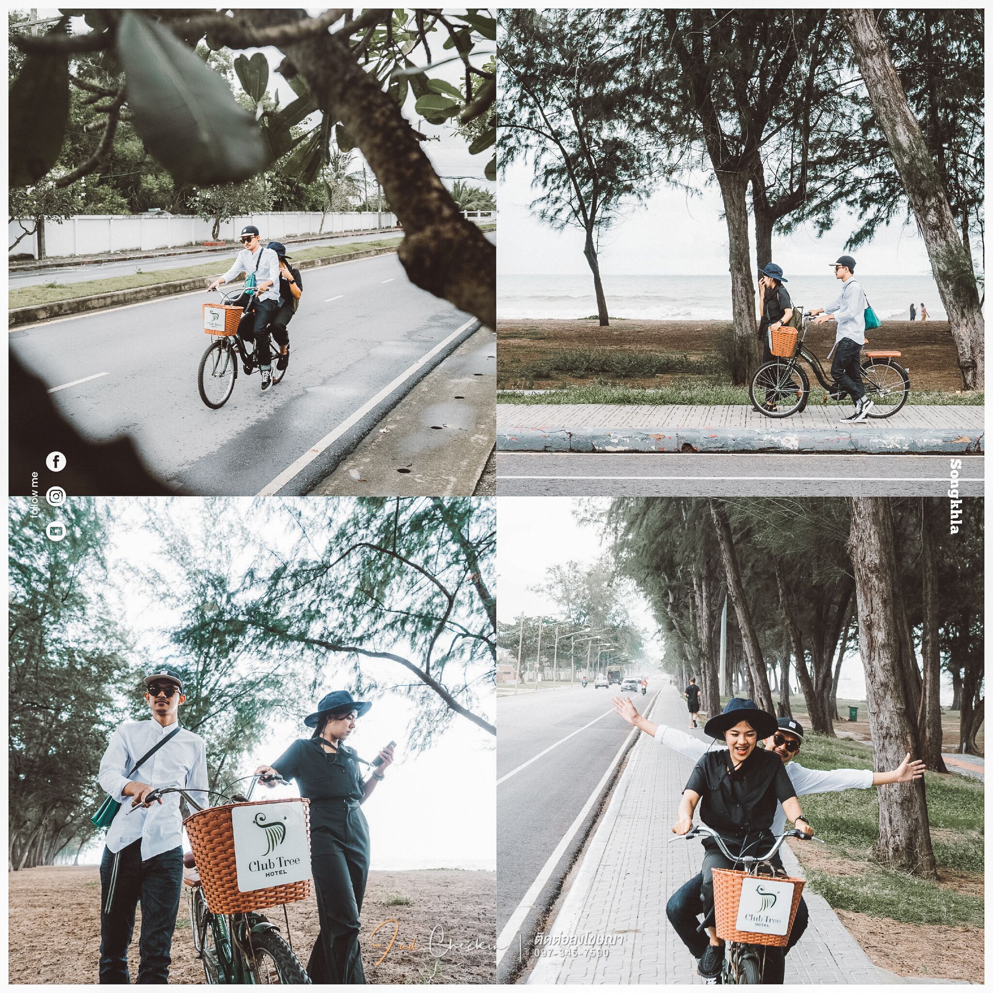 Une personne à vélo, avec un panier fixé au vélo, sur un chemin bordé d’arbres, et une plage en arrière-plan.