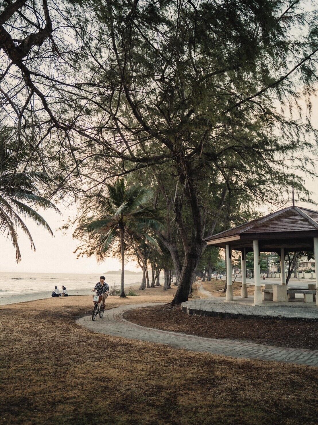 A park with a paved path, a gazebo, and a beach in the background.