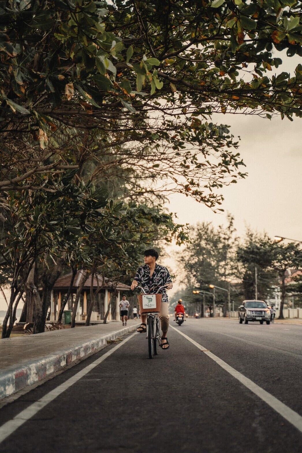 A person riding a bicycle on a tree-lined street.