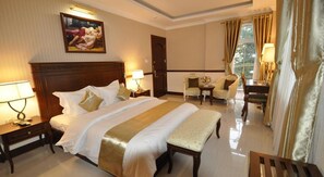 豪華雙人房, 1 張加大雙人床, 陽台, 公園景觀 | 客房景觀