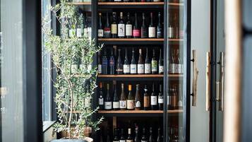 A wine cellar with shelves of wine bottles and a potted plant.