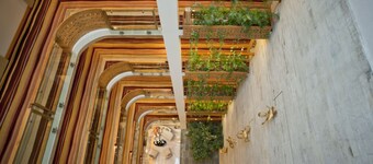 Lakeshore Hotel & Apartments